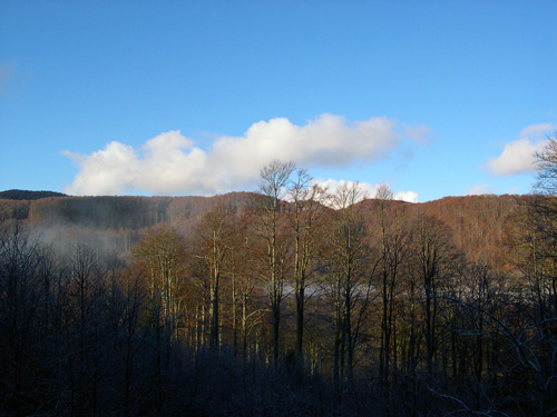 tra Pian Cavallo e Pian Cansiglio