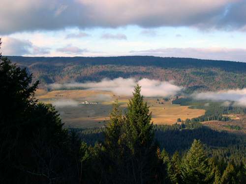 tra Pian Cavallo e Pian Cansiglio