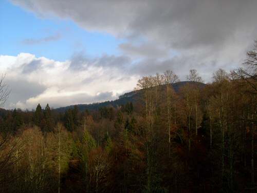 tra Pian Cavallo e Pian Cansiglio