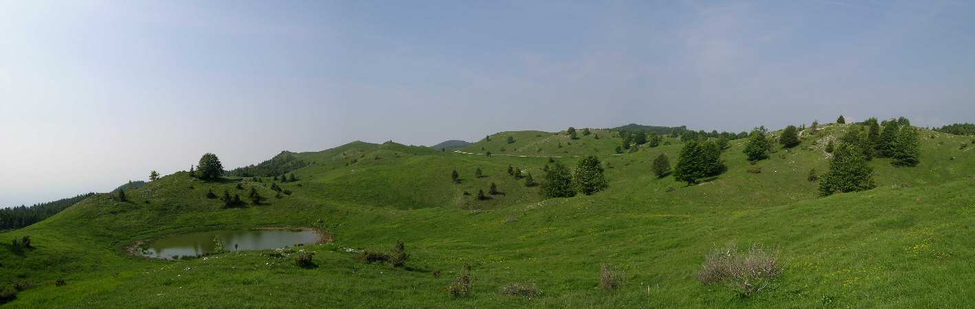 Col dei S'Cios, Cansiglio Cavallo, prealpi Friulane