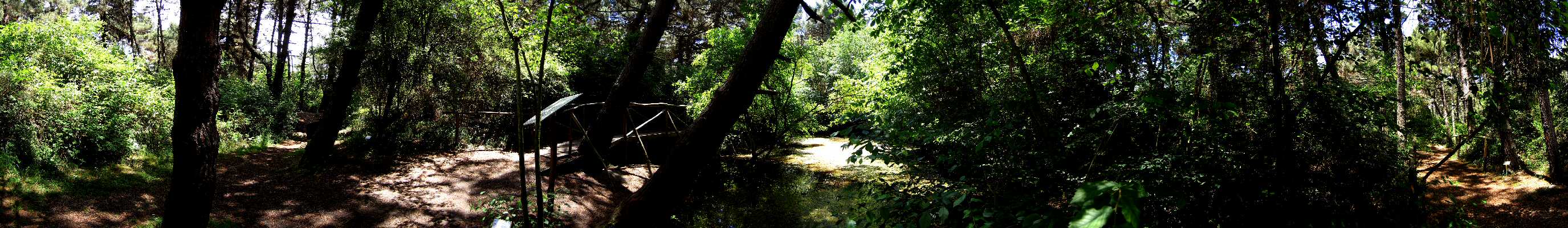 Giardino Botanico Litoraneo di Punta Caleri
