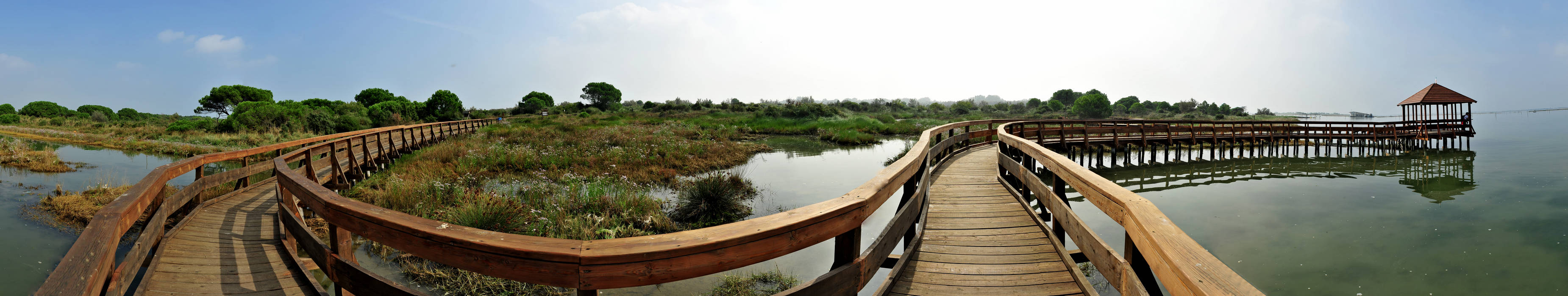 Giardino Botanico Litoraneo di Punta Caleri