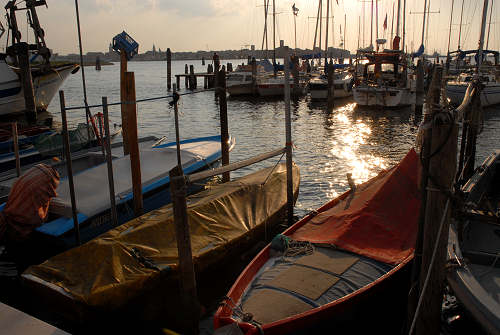 Laguna di Chioggia, Venezia