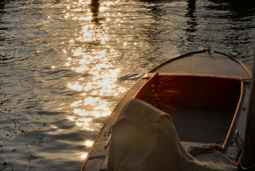 Laguna di Chioggia, Venezia
