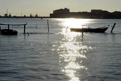 Chioggia - Laguna del Lusenzo