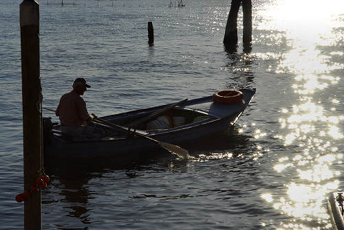 Chioggia - Laguna del Lusenzo