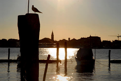 Chioggia - Laguna del Lusenzo