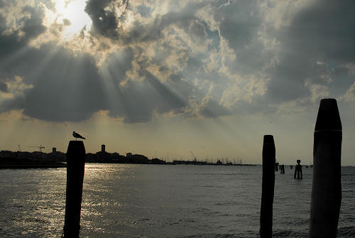 Chioggia