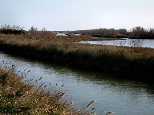 Boccasette - Porto Tolle