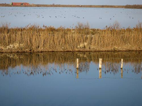 Boccasette - Porto Tolle