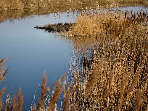Boccasette - Porto Tolle