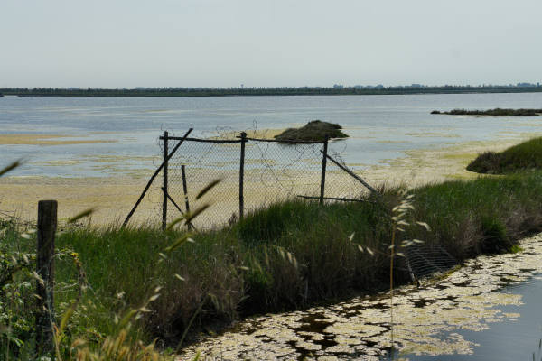 strada delle valli di Rosolina laguna di Caleri