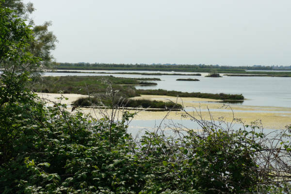 strada delle valli di Rosolina laguna di Caleri