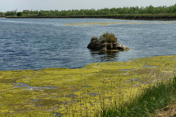 strada delle valli di Rosolina laguna di Caleri