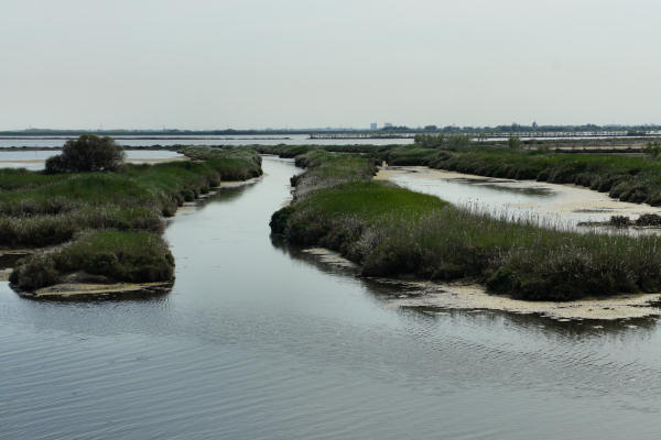strada delle valli di Rosolina laguna di Caleri