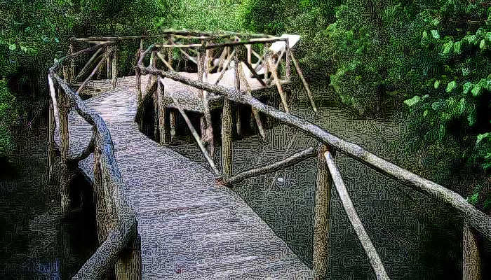 Giardino Botanico Litoraneo Di Porto Caleri A Rosolina Mare