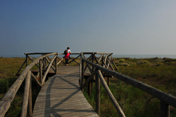 Giardino Botanico Litoraneo di POrto Caleri a Rosolina Mare