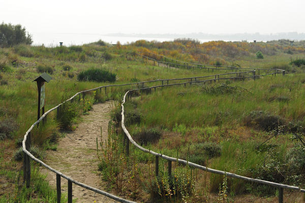 Giardino Botanico Litoraneo di POrto Caleri a Rosolina Mare