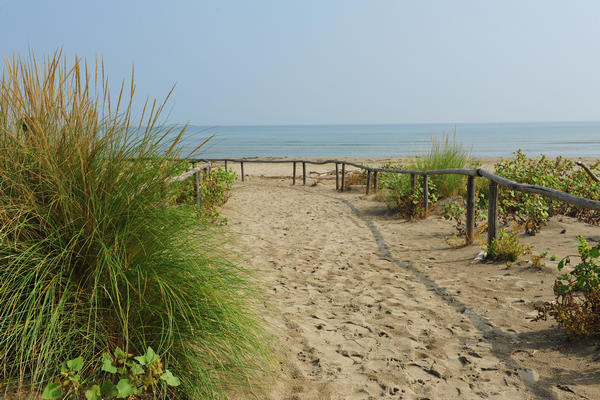 Giardino Botanico Litoraneo di POrto Caleri a Rosolina Mare