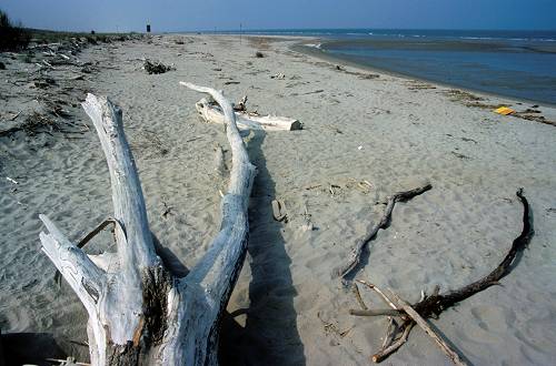 spiaggia di Caleri