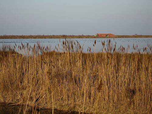 Boccasette - Porto Tolle