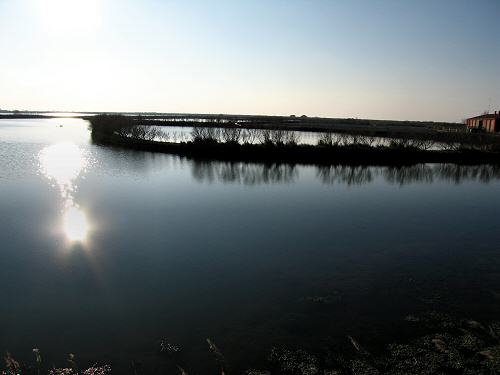 Boccasette - Porto Tolle