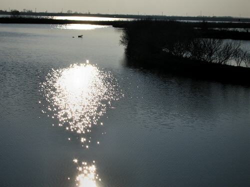 Boccasette - Porto Tolle