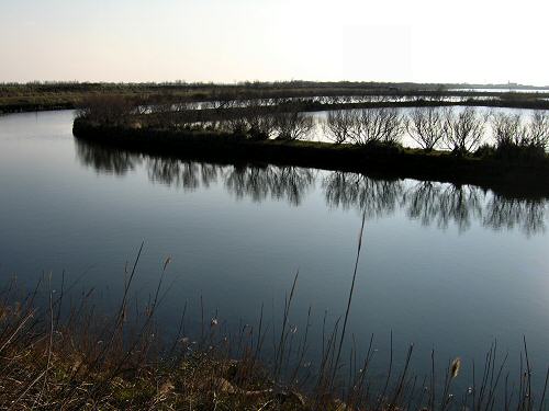 Boccasette - Porto Tolle