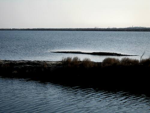 Boccasette - Porto Tolle