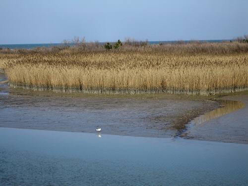 Boccasette - Porto Tolle