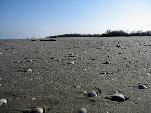 Boccasette - Porto Tolle