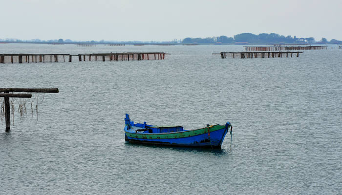 Sacca Scardovari a Porto Tolle
