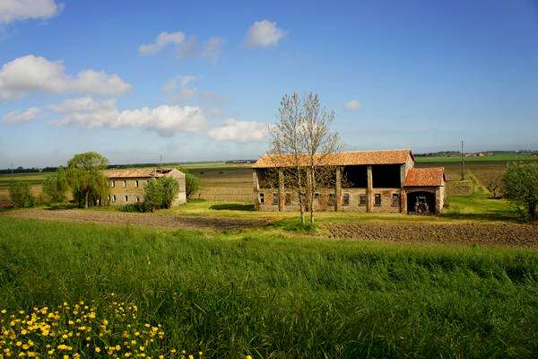 Isola Ca'Venier, Boccasette Pila - Porto Tolle, Delta del Po
