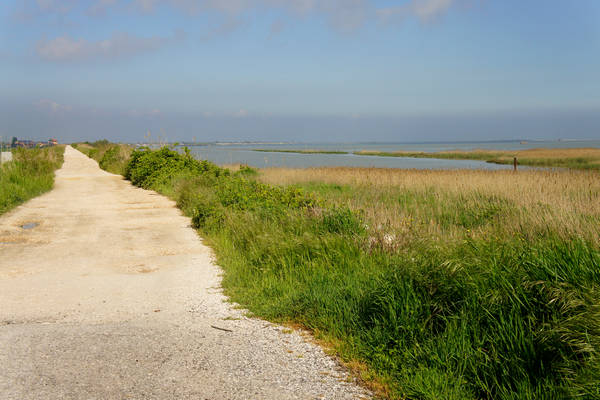 Isola Ca'Venier, Boccasette Pila - Porto Tolle, Delta del Po