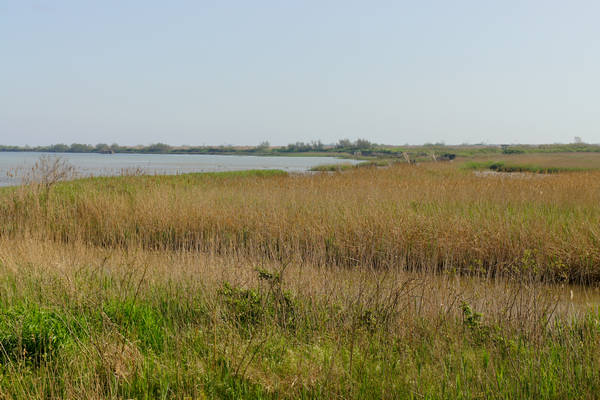 Isola Ca'Venier, Boccasette Pila - Porto Tolle, Delta del Po