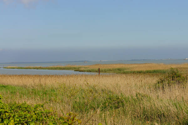 Isola Ca'Venier, Boccasette Pila - Porto Tolle, Delta del Po
