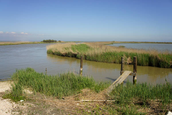 Isola Ca'Venier, Boccasette Pila - Porto Tolle, Delta del Po