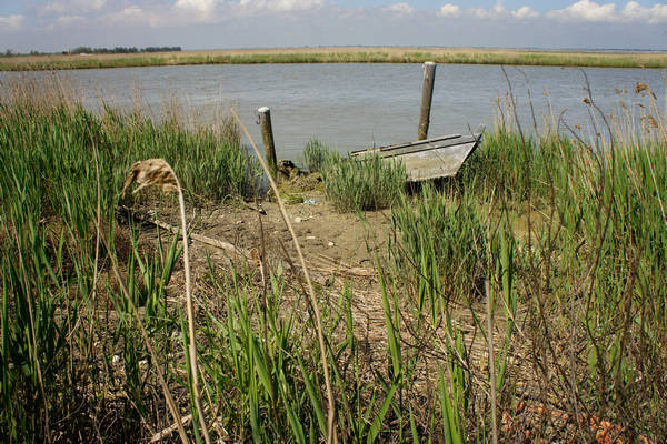 Isola Ca'Venier, Boccasette Pila - Porto Tolle, Delta del Po