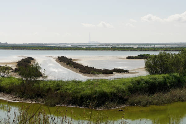 Isola Ca'Venier, Boccasette Pila - Porto Tolle, Delta del Po