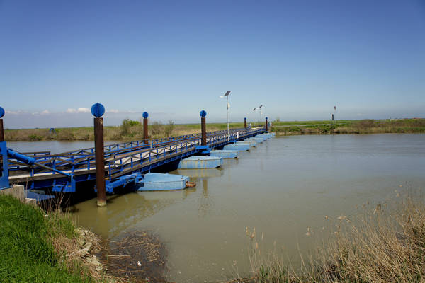 Isola Ca'Venier, Boccasette Pila - Porto Tolle, Delta del Po