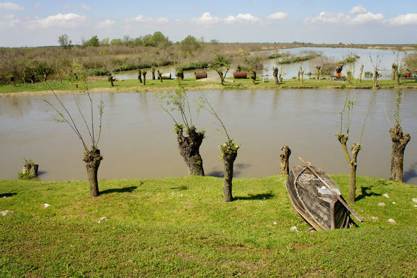 Isola Ca'Venier, Boccasette Pila - Porto Tolle, Delta del Po