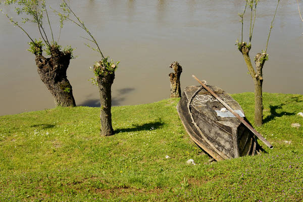 Isola Ca'Venier, Boccasette Pila - Porto Tolle, Delta del Po
