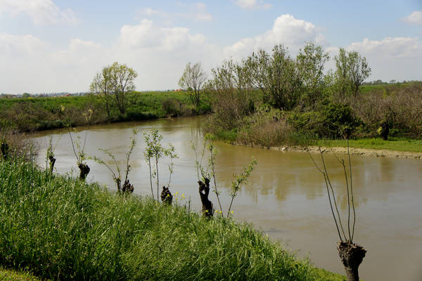 Isola Ca'Venier, Boccasette Pila - Porto Tolle, Delta del Po