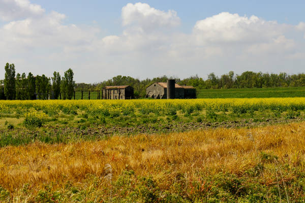 Isola Ca'Venier, Boccasette Pila - Porto Tolle, Delta del Po
