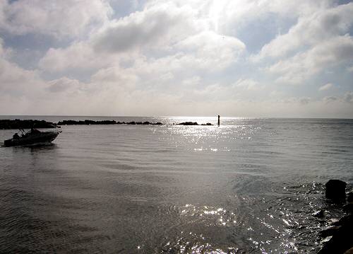 Sacca Scardovari - Porto Tolle