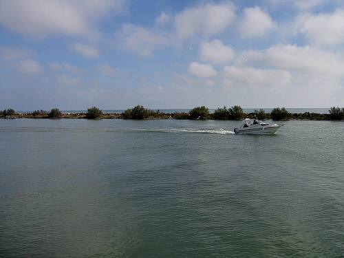 Sacca Scardovari - Porto Tolle