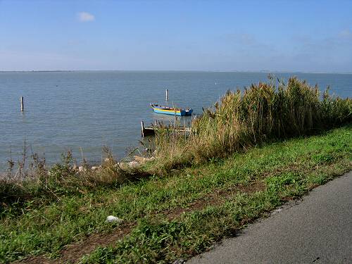 Sacca Scardovari - Porto Tolle