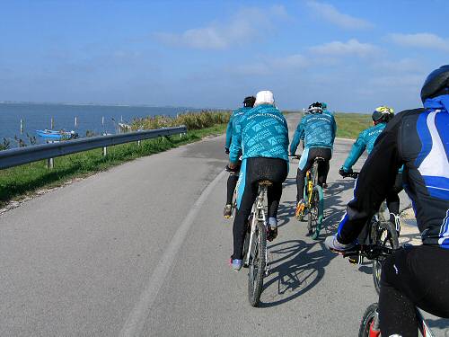 Sacca Scardovari - Porto Tolle