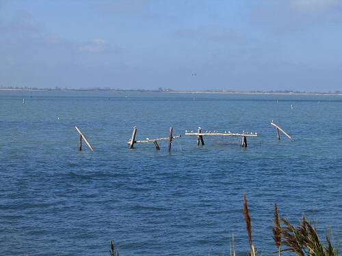 Sacca Scardovari - Porto Tolle