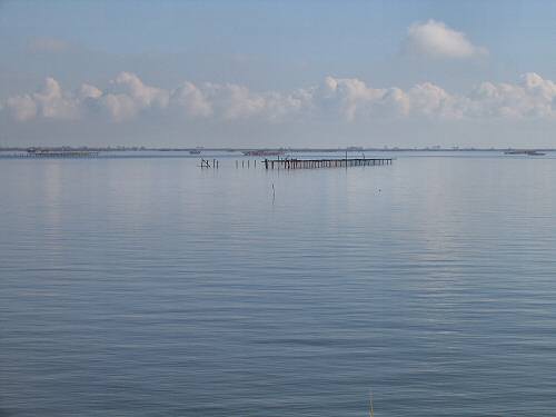 Sacca Scardovari - Porto Tolle
